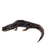 Thumbnail: Slimy Salamander