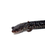 Thumbnail: Slimy Salamander