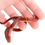 Thumbnail: Baby Broad Banded Mountain Ratsnake