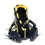 Thumbnail: Alanis Tinctorius Dart Frog