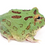 Thumbnail: Green Pacman Frog