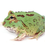 Thumbnail: Green Pacman Frog