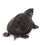 Thumbnail: Baby Stinkpot Musk Turtle