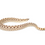 Thumbnail: Western Hognose Snake Het Hypo