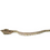 Thumbnail: Sub-Adult Brooks Kingsnake