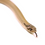 Thumbnail: Baby Super Anaconda Hognose Snake