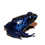 Thumbnail: Blue Azureus Tinctorius Dart Frog