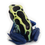 Thumbnail: Yellow Sipaliwini Dart Frog