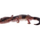 Thumbnail: Fat Tailed Gecko