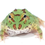 Thumbnail: Green Pacman Frog