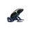 Thumbnail: Powder Blue Tinctorius Dart Frog