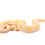 Thumbnail: Baby Pastel Albino Ball Python