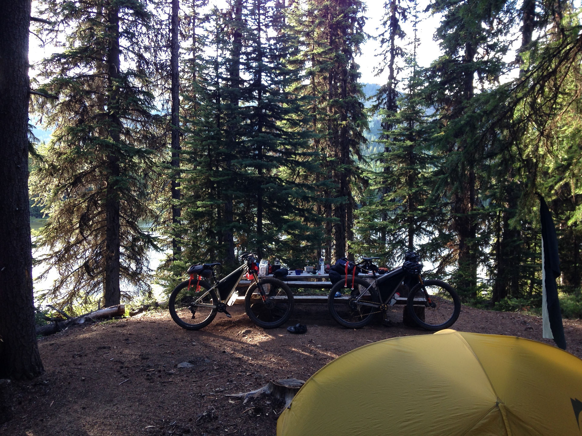 Chilcotins