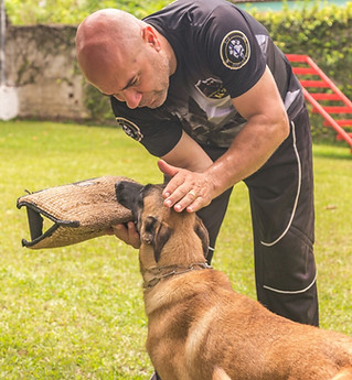 WhatsApp Image 2021-04-30 at 15.32.25.jp