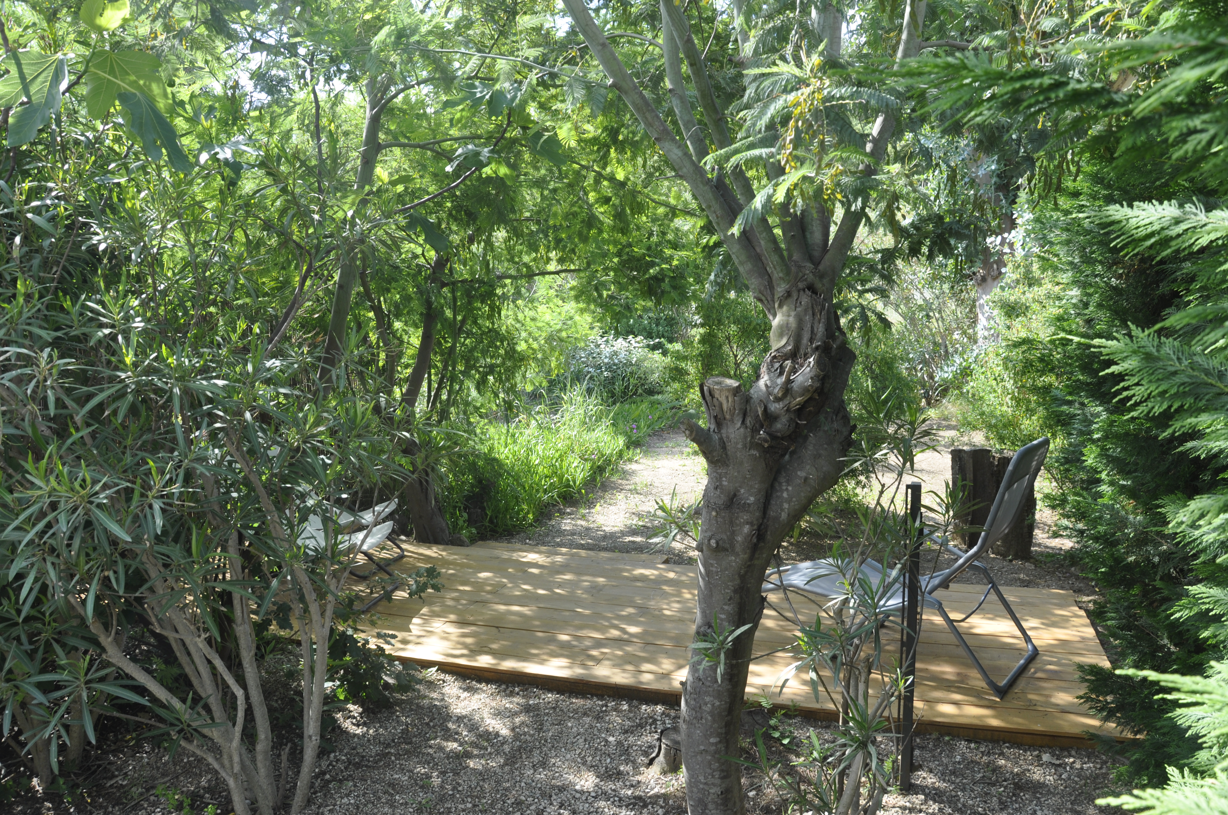 Un petit jardin bien abrité