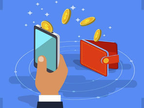 Vesayetli Cüzdan Nedir