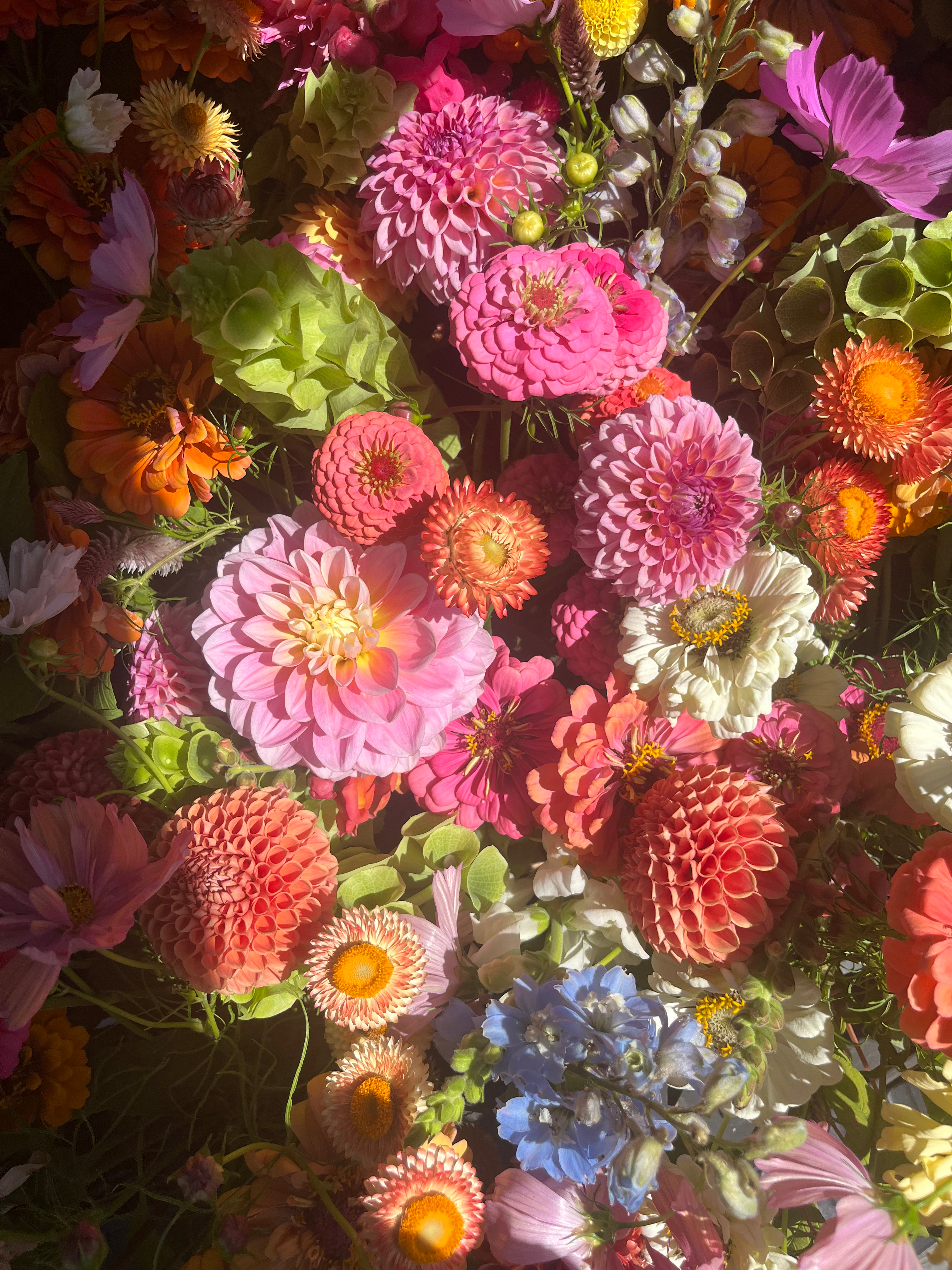 Summer, CSA Monthly Pick-Up (3wk)