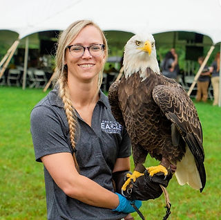 An Eagle Sanctuary worker holds a bald eagle in Kodak, Tennessee