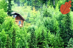 Cabin in the forest_edited_edited_edited