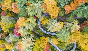 Top New Attractions for 2024 Gatlinburg & Pigeon Forge