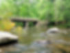 Metcalf Bottoms Trail Smoky Mountains, bridge