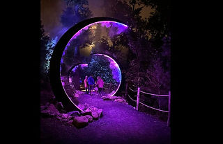 Astra Lumina light show forest walk in Gatlinburg TN at Anakeesta
