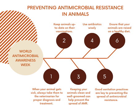 World Antimicrobial Awareness Week: Preventing Antimicrobial Resistance Together