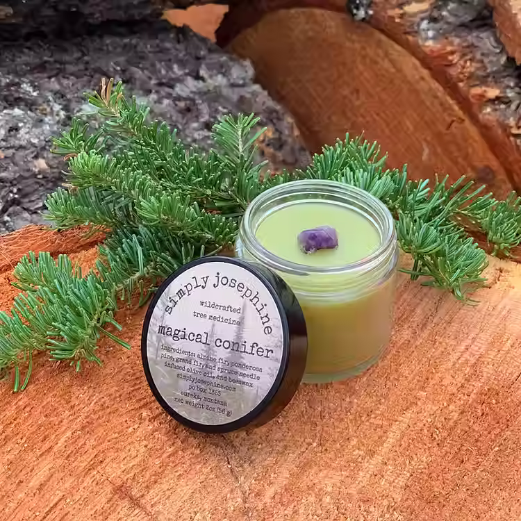forest salve
conifer salve
herbal salve