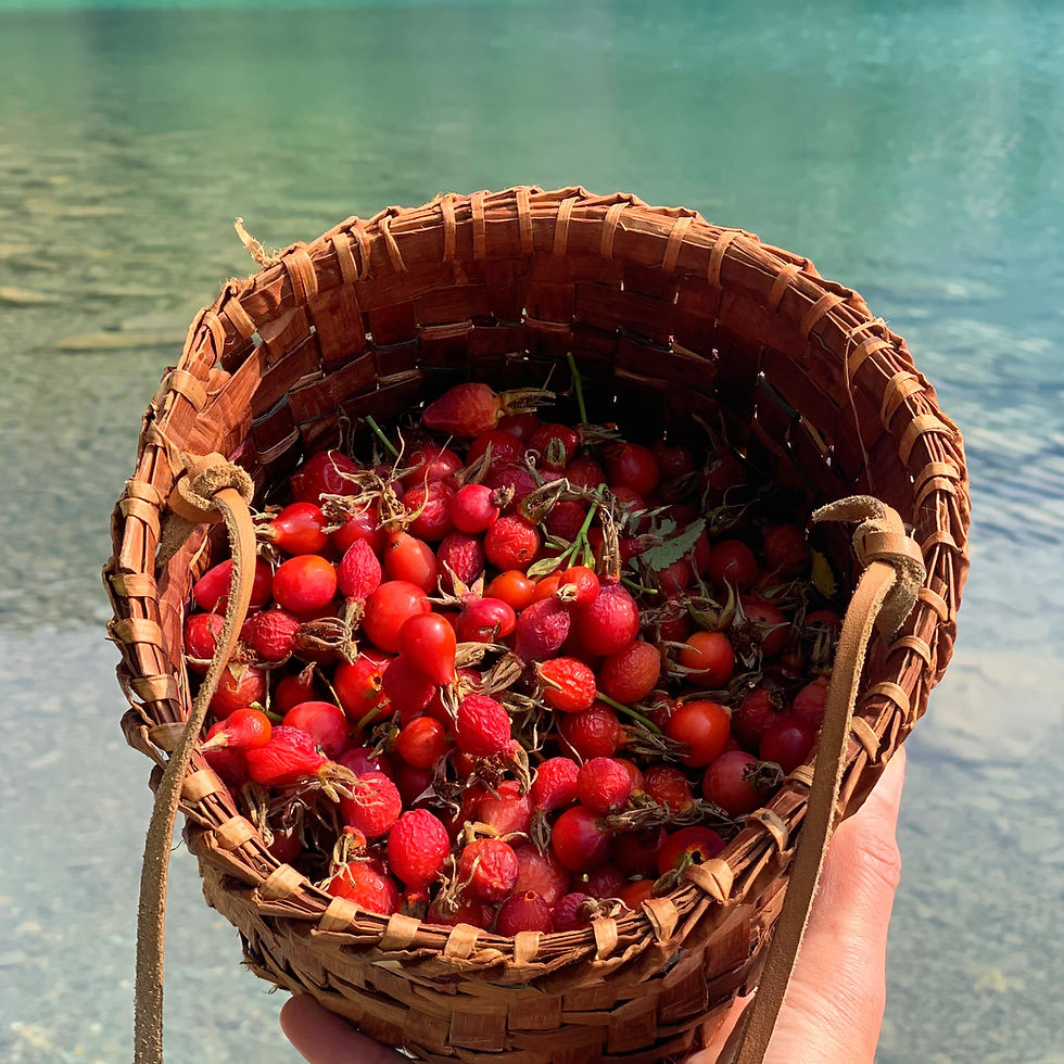Thumbnail: wild rosehip whipped tallow body butter + essential oil free 