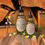 Thumbnail: wild chamomile body oil