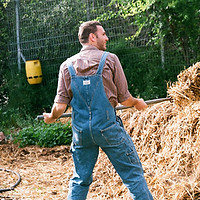 Man with Hay