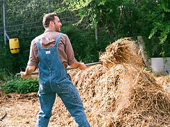 Man with Hay