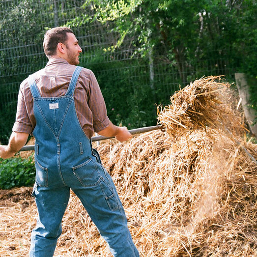 Understanding the Latest USDA Changes in 2026