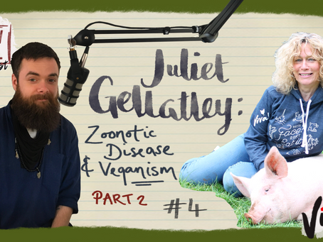 #4 - 3 In 4 Campaign: Juliet Gellatley Interview (Part 2)