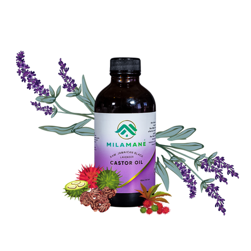 Lavender Jamaican Black Castor Oil (4oz) MILA MANE