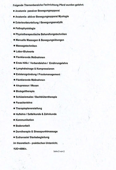 Zertifikat 3.jpg