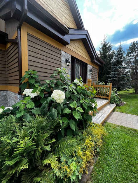 Hydrangea bush by front entry of townhouse end unit with tall pine trees in background