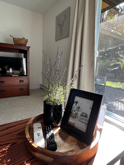 Lower level living room with couch, chair, table, lamp, large birch canvas above couch, sliding doors out to patio and chairs in backyard, Smart TV, curtains, carpeted room
