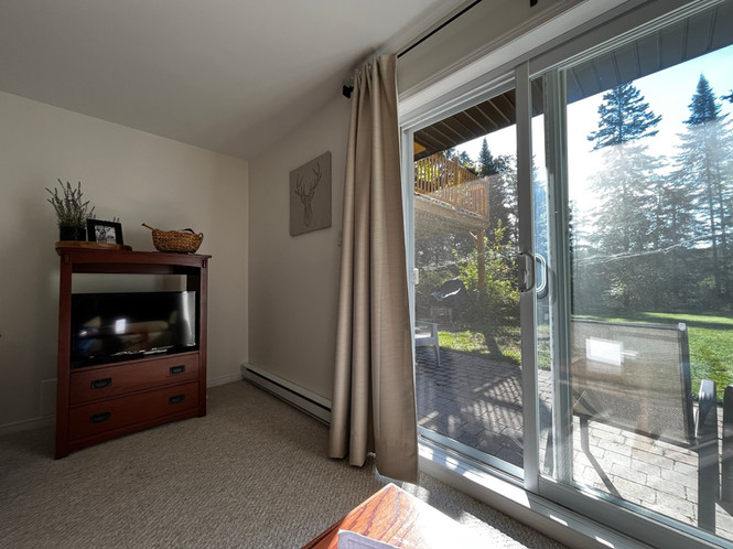 Smart TV, sliding door to walk-out patio, chairs, pavers and grass with tall pine trees at edge of property
