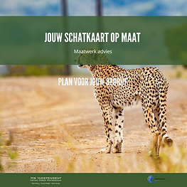 website tegel schatkaart advies .png