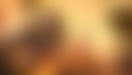 (6) Simulated Economy Tutorial in Go