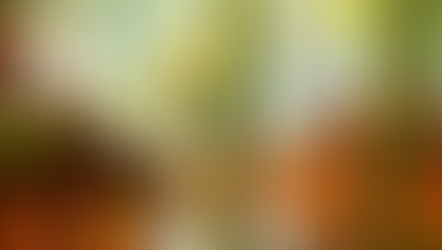 (2) Simulated Economy Tutorial in Go