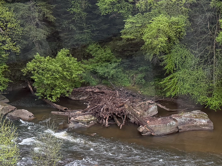 A Creek Full of Clutter