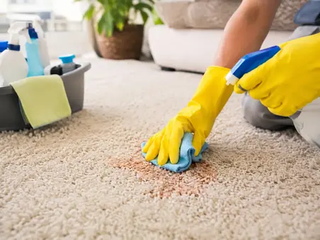 How to Clean Carpet Stains