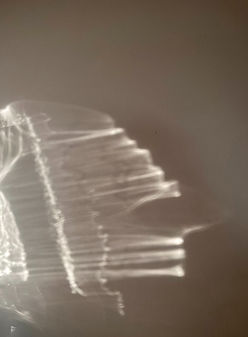 a9da9ae6-c748-4472-a120-b6b8392d6185-0_edited.jpg