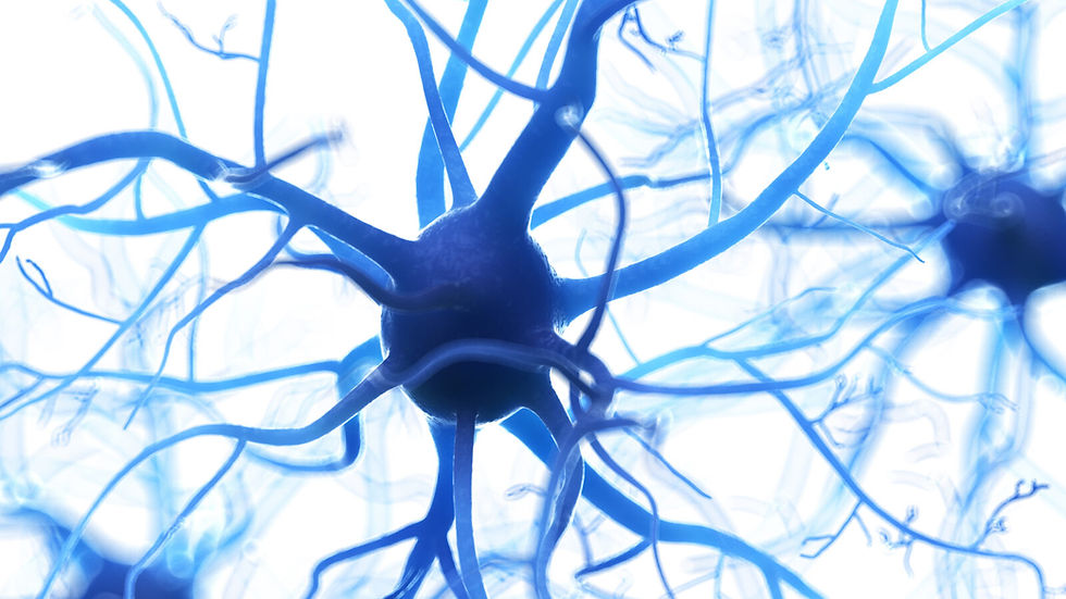 FDA-Approved Bioprinted Nerve Repair: COAPTIUM CONNECT and the Future of Regenerative Medicine