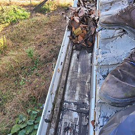 WhatsApp Image 2025-03-20 at 07.54.14 (3).jpeg