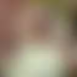 ಬಾಂಗ್ಲಾದೇಶ ಮಾಜಿ ಪ್ರಧಾನಿ ಶೇಖ್ ಹಸೀನಾಗೆ 6 ತಿಂಗಳು ಜೈಲು ಶಿಕ್ಷೆ