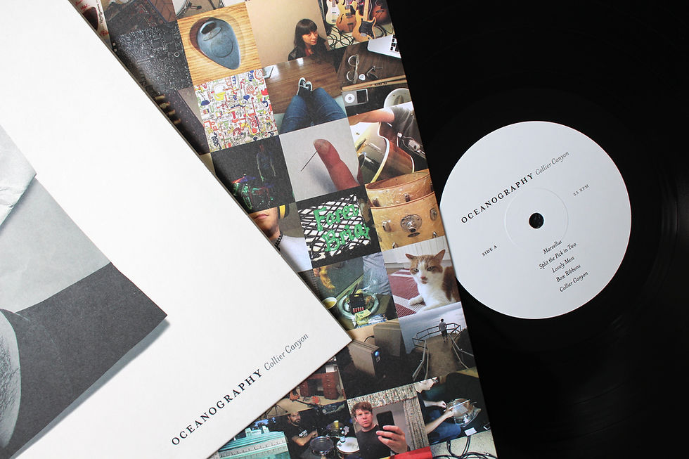 Thumbnail: Collier Canyon - 180g 12" Vinyl