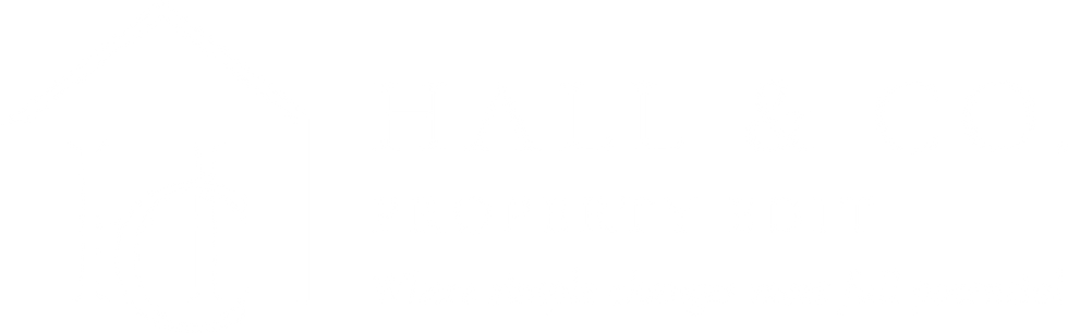 SECONDARY LOGO - White.png